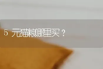 5元猫粮哪里买？