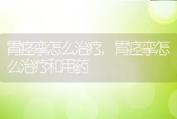 胃痉挛怎么治疗，胃痉挛怎么治疗和用药