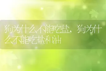 狗为什么不能吃盐，狗为什么不能吃盐和油