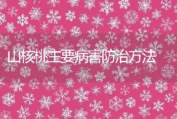 山核桃主要病害防治方法