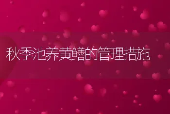 秋季池养黄鳝的管理措施