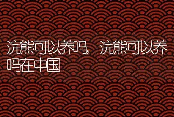 浣熊可以养吗，浣熊可以养吗在中国