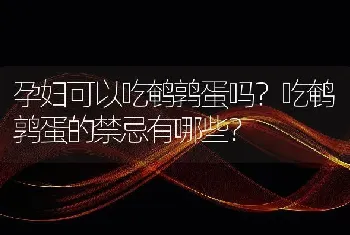 孕妇可以吃鹌鹑蛋吗？吃鹌鹑蛋的禁忌有哪些？