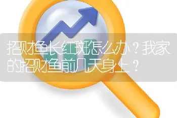 招财鱼长红斑怎么办？我家的招财鱼前几天身上？