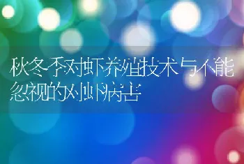 秋冬季对虾养殖技术与不能忽视的对虾病害