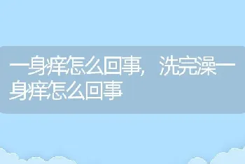 一身痒怎么回事，洗完澡一身痒怎么回事