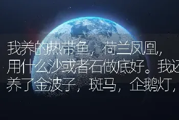 我养的热带鱼，荷兰凤凰，用什么沙或者石做底好。我还养了金波子