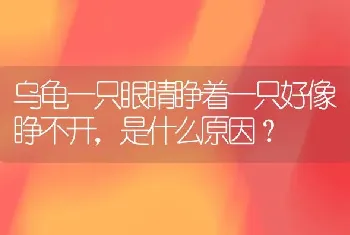 乌龟一只眼睛睁着一只好像睁不开，是什么原因？