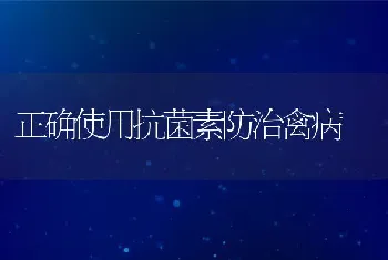 正确使用抗菌素防治禽病