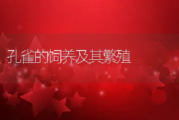 孔雀的饲养及其繁殖