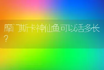 摩门斯卡神仙鱼可以活多长？