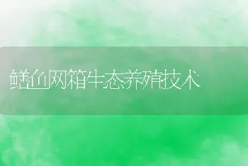 鳝鱼网箱生态养殖技术