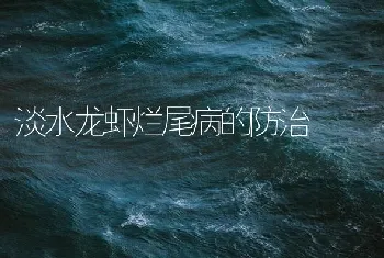 淡水龙虾烂尾病的防治