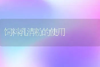 秋冬季肉鸡养殖四诀窍