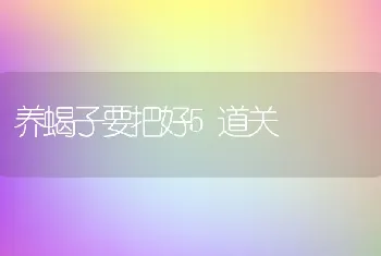 养蝎子要把好5道关