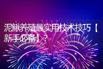 泥鳅养殖最实用技术技巧【新手必备】？