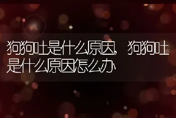 狗狗吐是什么原因，狗狗吐是什么原因怎么办