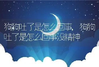 狗狗吐了是怎么回事，狗狗吐了是怎么回事没精神