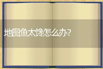 虾虎鱼和什么鱼混养比较好？