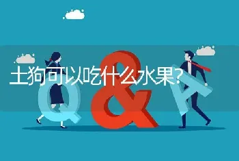 土狗可以吃什么水果？