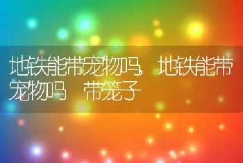 地铁能带宠物吗，地铁能带宠物吗 带笼子