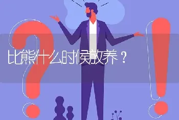 比熊什么时候放养？