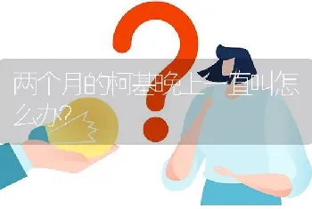 两个月的柯基晚上一直叫怎么办？