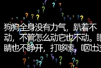 狗狗全身没有力气，趴着不动，不管怎么动它也不动。眼睛也不睁开，打哆嗦，呕吐过。不流鼻涕？