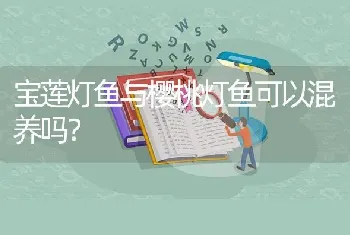 宝莲灯鱼与樱桃灯鱼可以混养吗？