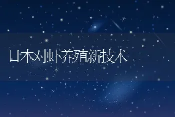 日本对虾养殖新技术