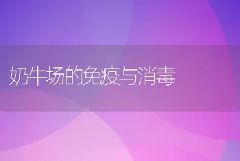 奶牛场的免疫与消毒