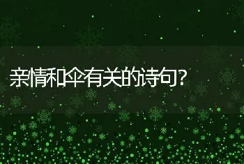 亲情和伞有关的诗句？