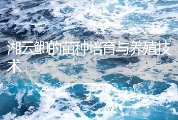 湘云鲫的苗种培育与养殖技术