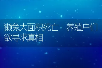 猪饲料添加姜黄素增收养猪业