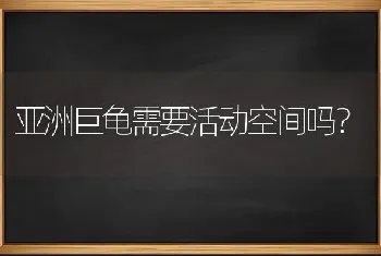 猫咪不吃东西，尿黄色粘稠物？