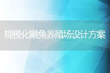 规模化獭兔养殖场设计方案