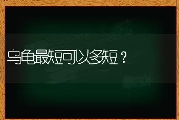 乌龟最短可以多短？