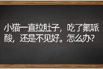 小猫一直拉肚子，吃了氟哌酸，还是不见好。怎么办？