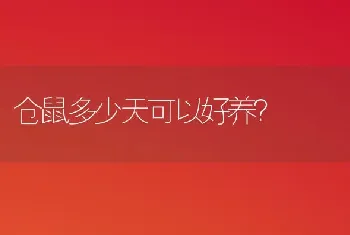 仓鼠多少天可以好养？