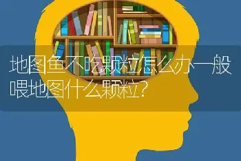 地图鱼不吃颗粒怎么办一般喂地图什么颗粒？