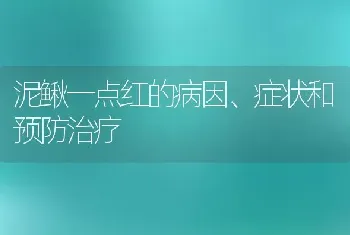 泥鳅一点红的病因、症状和预防治疗