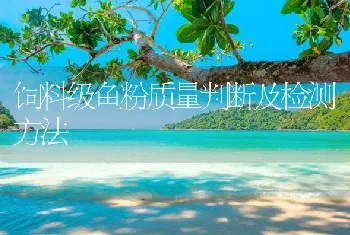 饲料级鱼粉质量判断及检测方法