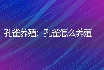 孔雀养殖：孔雀怎么养殖