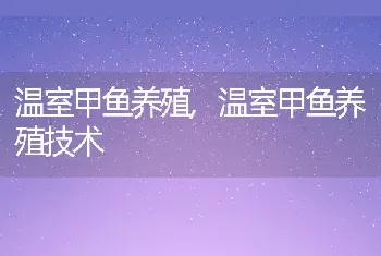 温室甲鱼养殖，温室甲鱼养殖技术