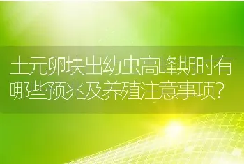 土元卵块出幼虫高峰期时有哪些预兆及养殖注意事项？