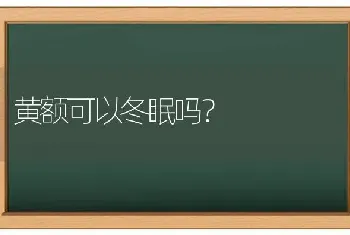 黄额可以冬眠吗？