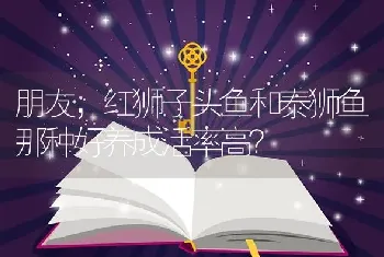 朋友，红狮子头鱼和泰狮鱼那种好养成活率高？