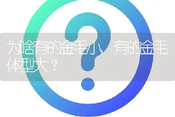 为啥有的金毛小,有的金毛体型大？