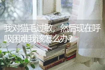 我对猫毛过敏，然后现在呼吸困难我该怎么办？