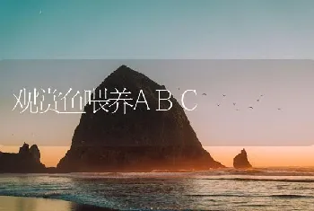 观赏鱼喂养ABC